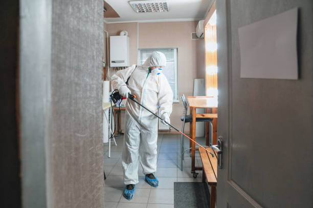 Trusted Saddle Rock, NY Mold Removal Experts