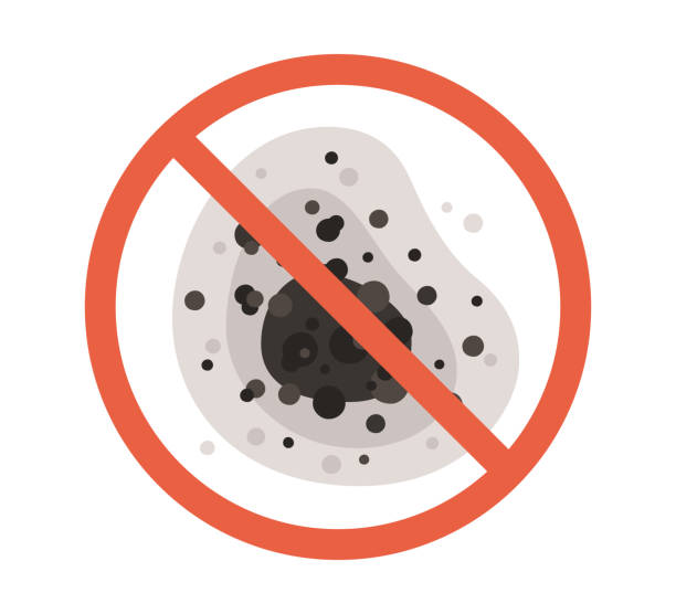 Best Mold Odor Removal Services  in Saddle Rock, NY