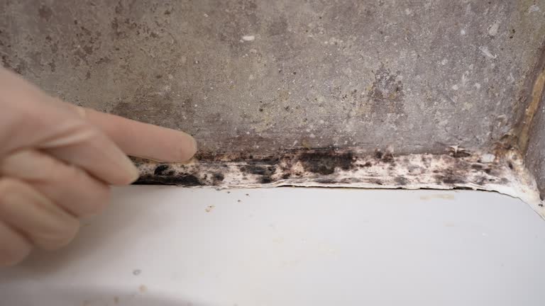 Best Post-Remediation Verification Testing  in Saddle Rock, NY