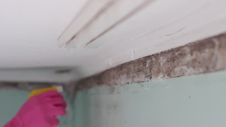 Dehumidification Services in Saddle Rock, NY